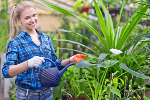 Soft landscaping materials and planting in a Belmont garden