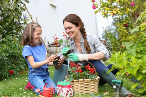 Planning and construction stages of a garden project in Belmont