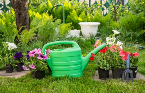 Neat low-maintenance front garden suitable for a Belmont home or business