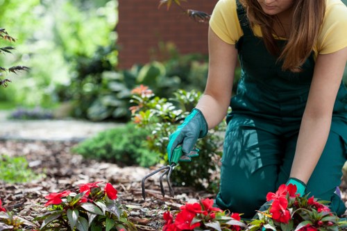 Accessible landscaping Belmont page shown on a screen with inclusive design features