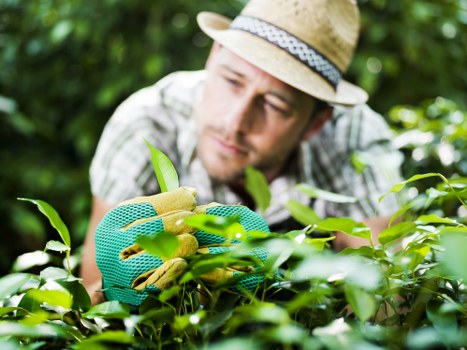 Marketing cookies and website tracking for Landscaping Belmont