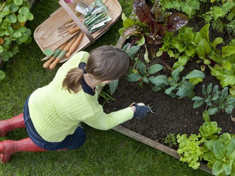 Risk assessment checklist before starting a Belmont garden project