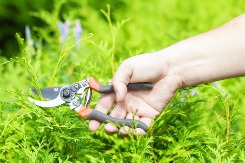 Ongoing accessibility improvements for Belmont landscaping content