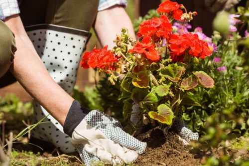 Free quote and transparent landscaping pricing for Belmont homes