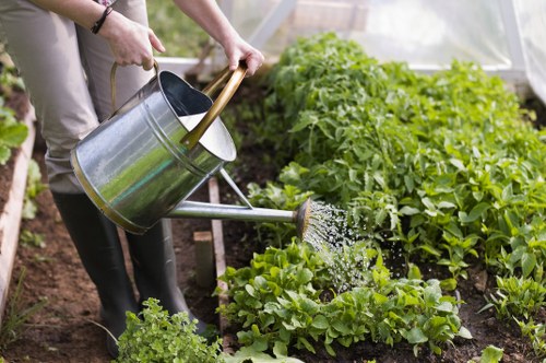 Belmont landscaping planning and garden structure